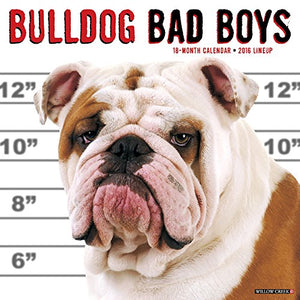 2016 Bulldog Bad Boys Wall Calendar